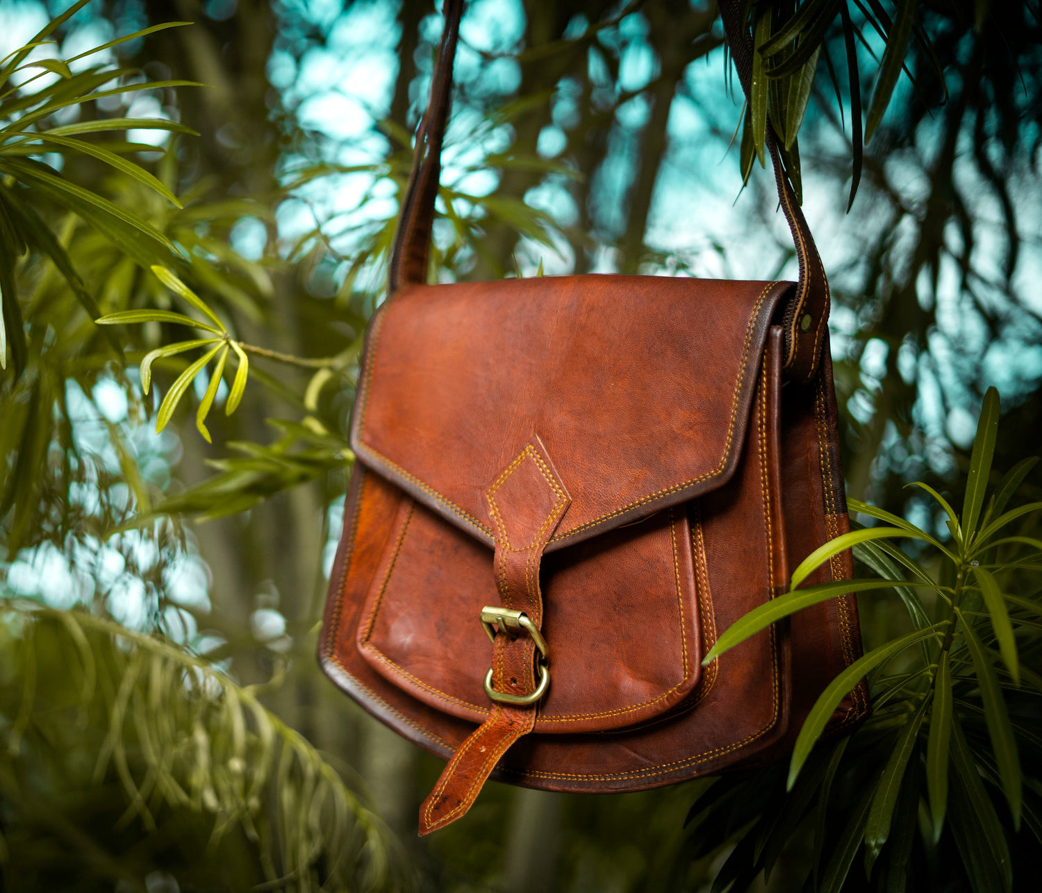 The Meridian Collection