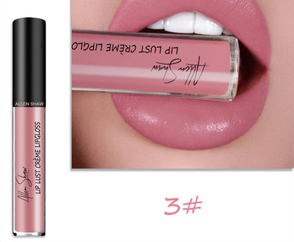 Silky Cream Texture Lip Gloss Aliexpress Shopee Cross-Border Exclusive