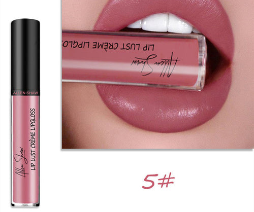 Silky Cream Texture Lip Gloss Aliexpress Shopee Cross-Border Exclusive