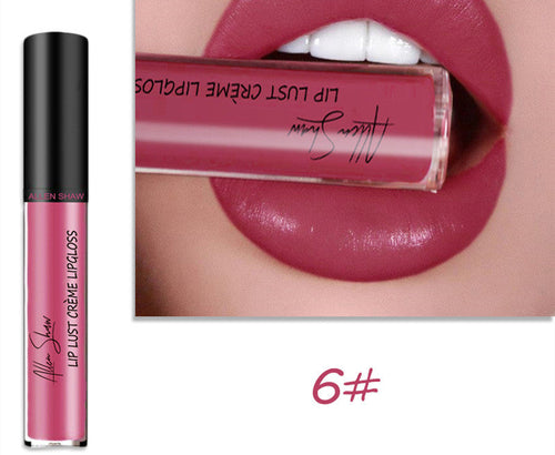 Silky Cream Texture Lip Gloss Aliexpress Shopee Cross-Border Exclusive