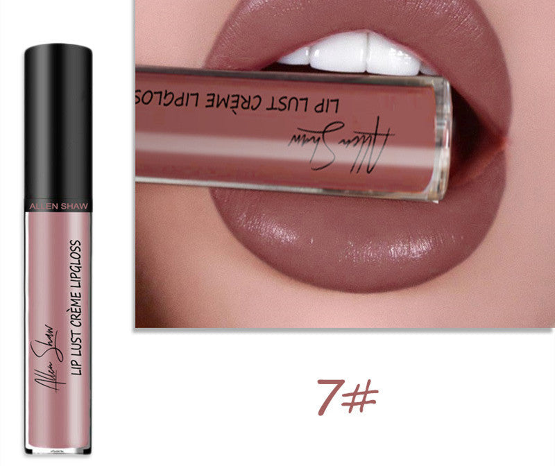 Silky Cream Texture Lip Gloss Aliexpress Shopee Cross-Border Exclusive