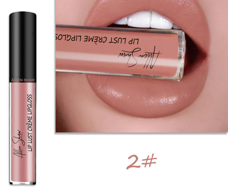 Silky Cream Texture Lip Gloss Aliexpress Shopee Cross-Border Exclusive
